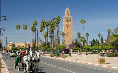 Création de société en ligne à Marrakech